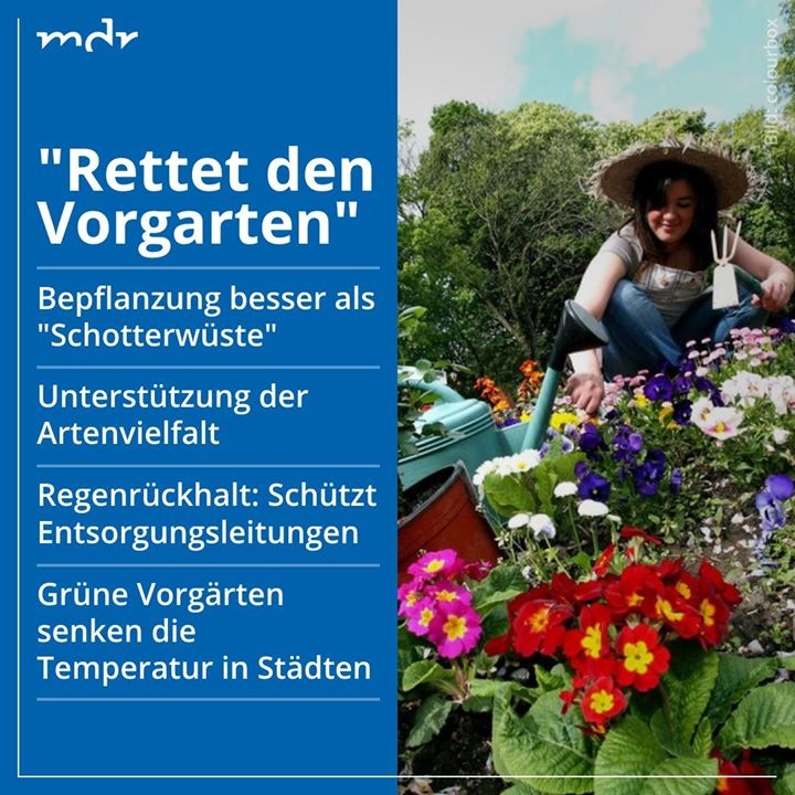 Initiative "Rettet den Vorgarten" rettet den vorgarten
