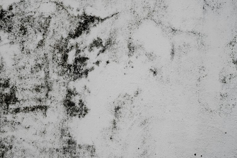 Schimmelige Wand Nahaufnahme