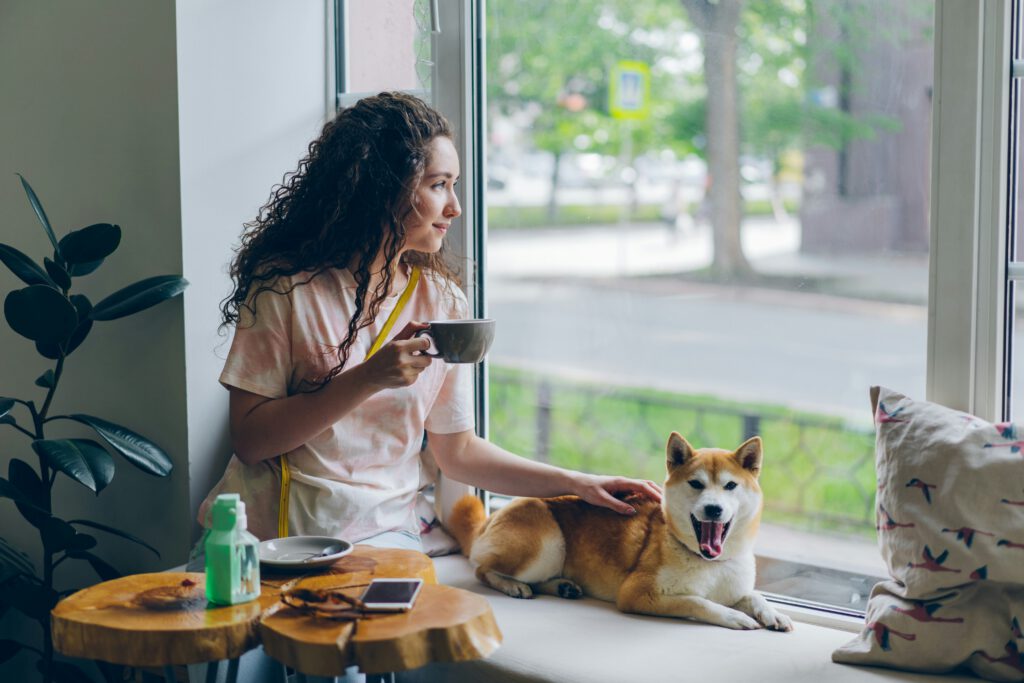 Tierhaltung in den Mietwohnungen vitaly gariev e 04 b kv98 unsplash