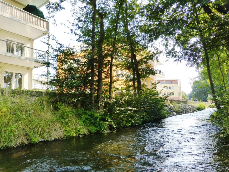 Eigentumswohnungen (2-Raum, 3-Raum, 4-Raum) in Cottbus - Madlower „Wohnpark an der Priormühle" wohnpark 18