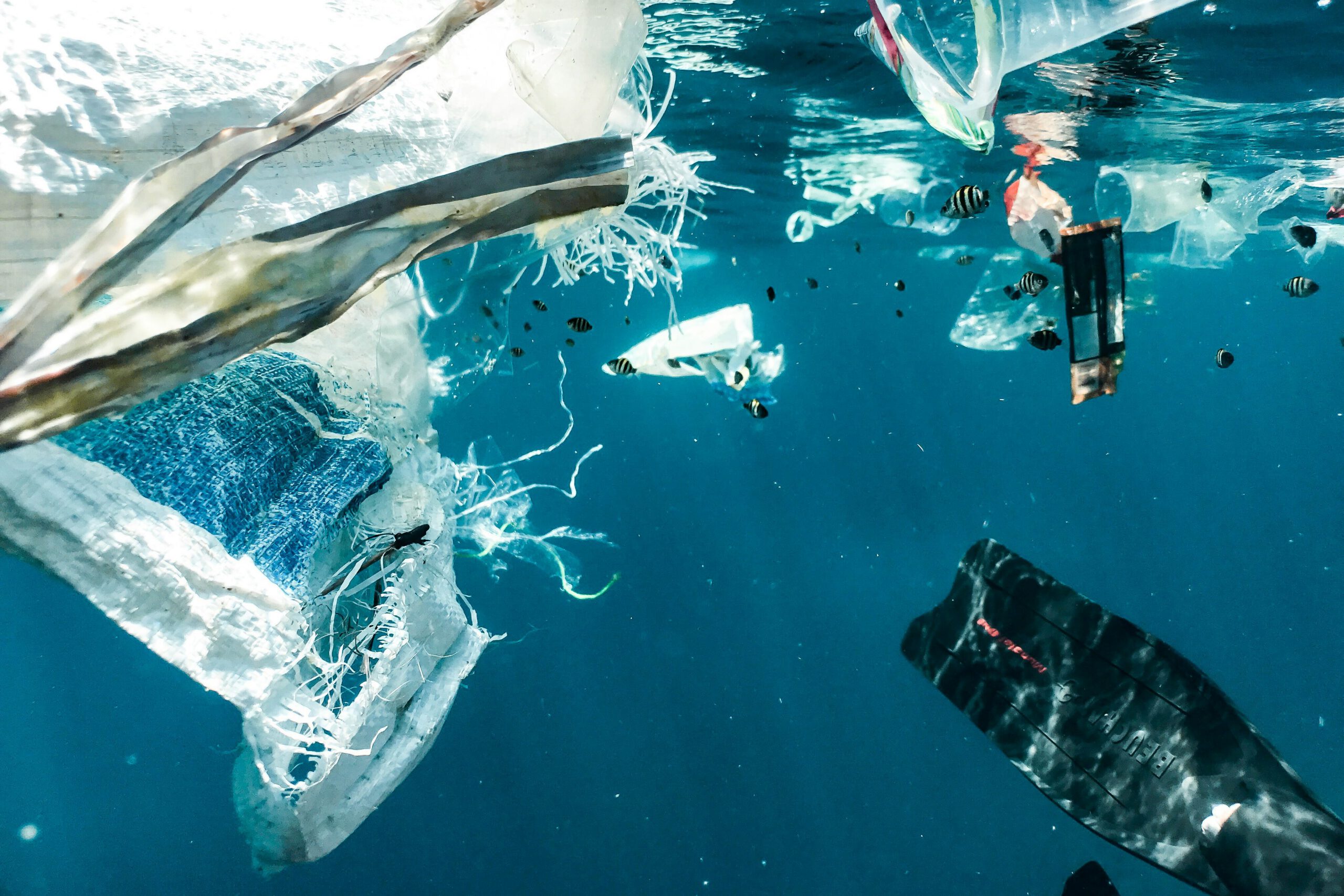 Plastik im Meer: Wie wir gemeinsam unsere Umwelt schützen können