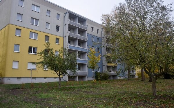 groeschke 7 groeschke 7